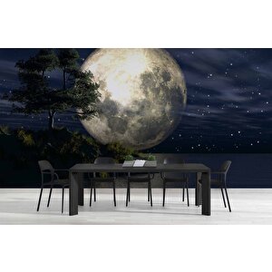 Ay Ve Gece Manzarası Duvar Kağıdı - Dkm465074