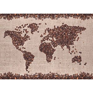 Kahve Çekirdeği Dünya Haritası Duvar Kağıdı Baskı - Dkm255011