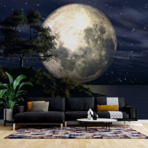 Ay Ve Gece Manzarası Duvar Kağıdı - Dkm465124 600x315 cm