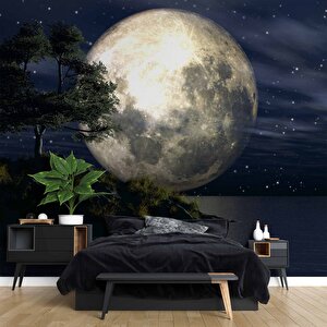 Ay Ve Gece Manzarası Duvar Kağıdı - Dkm465124 600x315 cm