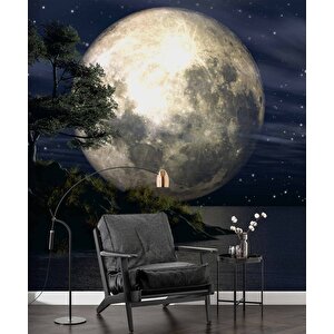 Ay Ve Gece Manzarası Duvar Kağıdı - Dkm465067