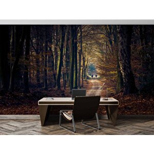 Sonbahar Yapraklı Yol Manzaralı Duvar Kağıdı Baskı - Dkm246123