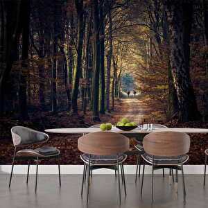 Sonbahar Yapraklı Yol Manzaralı Duvar Kağıdı Baskı - Dkm246123