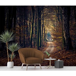 Sonbahar Yapraklı Yol Manzaralı Duvar Kağıdı Baskı - Dkm246124