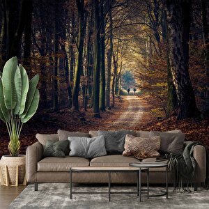 Sonbahar Yapraklı Yol Manzaralı Duvar Kağıdı Baskı - Dkm246098 450x300 cm