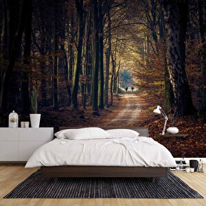 Sonbahar Yapraklı Yol Manzaralı Duvar Kağıdı Baskı - Dkm246098 450x300 cm