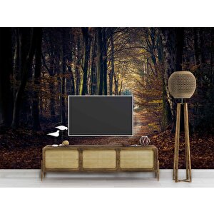 Sonbahar Yapraklı Yol Manzaralı Duvar Kağıdı Baskı - Dkm246109 200x315 cm