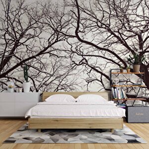 Kış Ayında Kurumuş Ağaç Temalı Duvar Kağıdı - Dkm664058 500x260 cm