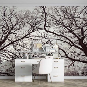 Kış Ayında Kurumuş Ağaç Temalı Duvar Kağıdı - Dkm664058