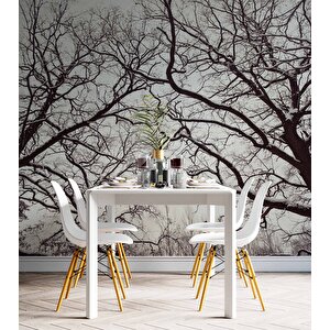 Kış Ayında Kurumuş Ağaç Temalı Duvar Kağıdı - Dkm664058