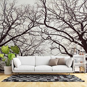 Kış Ayında Kurumuş Ağaç Temalı Duvar Kağıdı - Dkm664048 250x260 cm