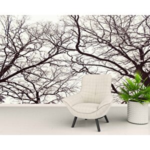 Kış Ayında Kurumuş Ağaç Temalı Duvar Kağıdı - Dkm664048