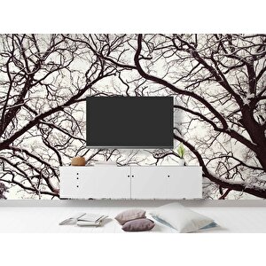 Kış Ayında Kurumuş Ağaç Temalı Duvar Kağıdı - Dkm664094 350x300 cm