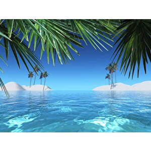 Deniz Ve Palmiye Yaprak Manzaralı Duvar Kağıdı - Dkm934007