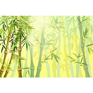 Bambu Ağaç Orman Temalı Duvar Kağıdı - Dkm691042