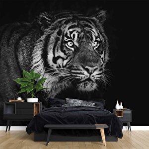 Siyah Beyaz Kaplan Temalı Duvar Kağıdı Baskı - Dkm530109 200x315 cm