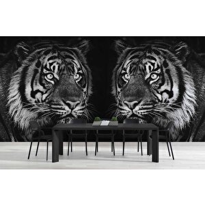 Siyah Beyaz Kaplan Temalı Duvar Kağıdı Baskı - Dkm530122