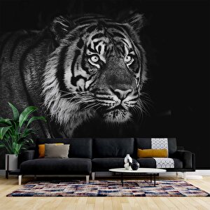 Siyah Beyaz Kaplan Temalı Duvar Kağıdı Baskı - Dkm530013 425x200 cm