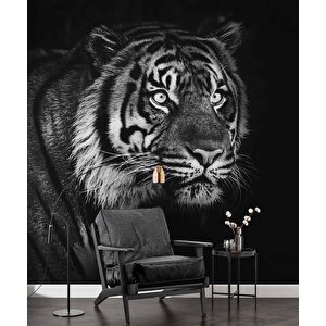 Siyah Beyaz Kaplan Temalı Duvar Kağıdı Baskı - Dkm530088