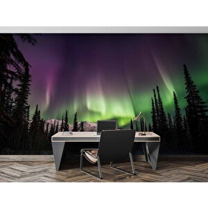 Gece Dağ Ve Orman Kutup Işıkları Manzaralı Duvar Kağıdı - Dkm839058