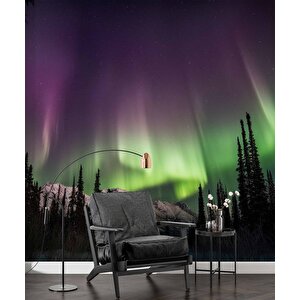 Gece Dağ Ve Orman Kutup Işıkları Manzaralı Duvar Kağıdı - Dkm839058