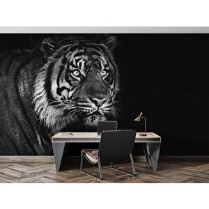 Siyah Beyaz Kaplan Temalı Duvar Kağıdı Baskı - Dkm530124 600x315 cm
