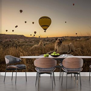 Günbatımı Ve Sıcak Hava Balon Manzaralı Duvar Kağıdı - Dkm730021