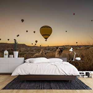 Günbatımı Ve Sıcak Hava Balon Manzaralı Duvar Kağıdı - Dkm730045 150x260 cm