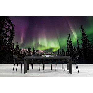 Gece Dağ Ve Orman Kutup Işıkları Manzaralı Duvar Kağıdı - Dkm839010