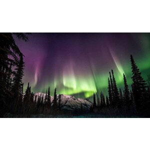 Gece Dağ Ve Orman Kutup Işıkları Manzaralı Duvar Kağıdı - Dkm839010