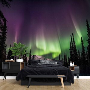 Gece Dağ Ve Orman Kutup Işıkları Manzaralı Duvar Kağıdı - Dkm839014 450x200 cm