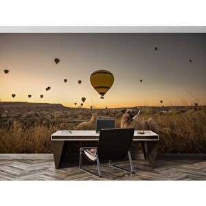 Günbatımı Ve Sıcak Hava Balon Manzaralı Duvar Kağıdı - Dkm730066
