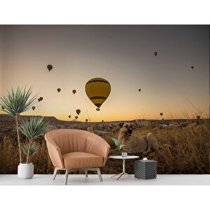 Günbatımı Ve Sıcak Hava Balon Manzaralı Duvar Kağıdı - Dkm730066