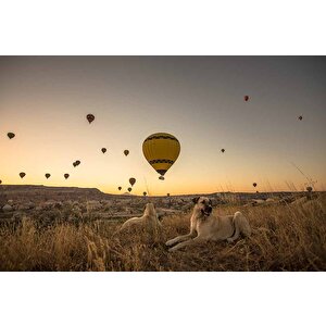 Günbatımı Ve Sıcak Hava Balon Manzaralı Duvar Kağıdı - Dkm730017