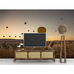 Günbatımı Ve Sıcak Hava Balon Manzaralı Duvar Kağıdı - Dkm730060 550x260 cm