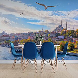 İstanbul Eminönü Süleymaniye Camii Manzaralı Duvar Kağıdı - Dkb939097