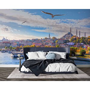 İstanbul Eminönü Süleymaniye Camii Manzaralı Duvar Kağıdı - Dkb939033 400x240 cm