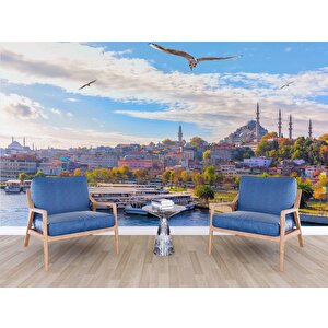 İstanbul Eminönü Süleymaniye Camii Manzaralı Duvar Kağıdı - Dkb939064