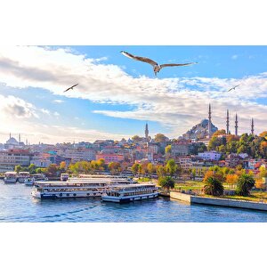 İstanbul Eminönü Süleymaniye Camii Manzaralı Duvar Kağıdı - Dkb939064