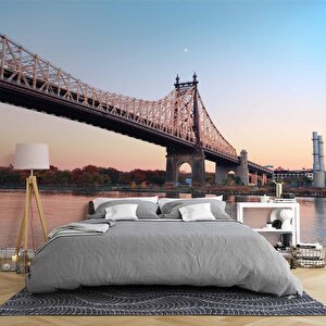 Queensboro Köprüsü Manzaralı Duvar Kağıdı - Dkb966030 325x240 cm