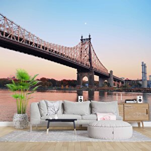 Queensboro Köprüsü Manzaralı Duvar Kağıdı - Dkb966062 700x260 cm