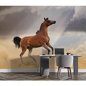 At Temalı Duvar Kağıdı - Dkm674072 325x280 cm