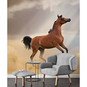 At Temalı Duvar Kağıdı - Dkm674072