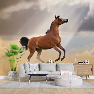 At Temalı Duvar Kağıdı - Dkm674041 700x240 cm