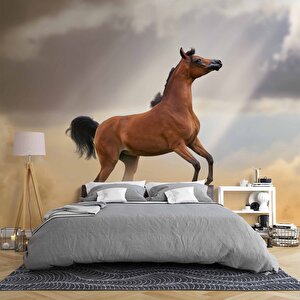 At Temalı Duvar Kağıdı - Dkm674109 200x315 cm