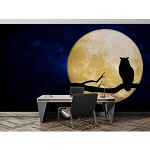 Gece Ay Ve Baykuş Manzaralı Duvar Kağıdı - Dkm831114