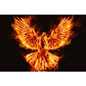 Alevli Anka Kusu Temalı Duvar Kağıdı - Dkm857118