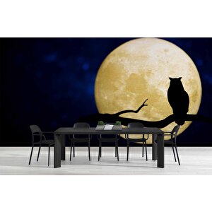 Gece Ay Ve Baykuş Manzaralı Duvar Kağıdı - Dkm831096
