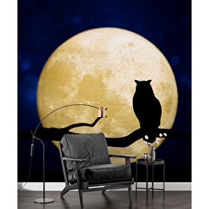 Gece Ay Ve Baykuş Manzaralı Duvar Kağıdı - Dkm831096