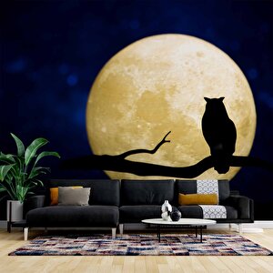 Gece Ay Ve Baykuş Manzaralı Duvar Kağıdı - Dkm831033